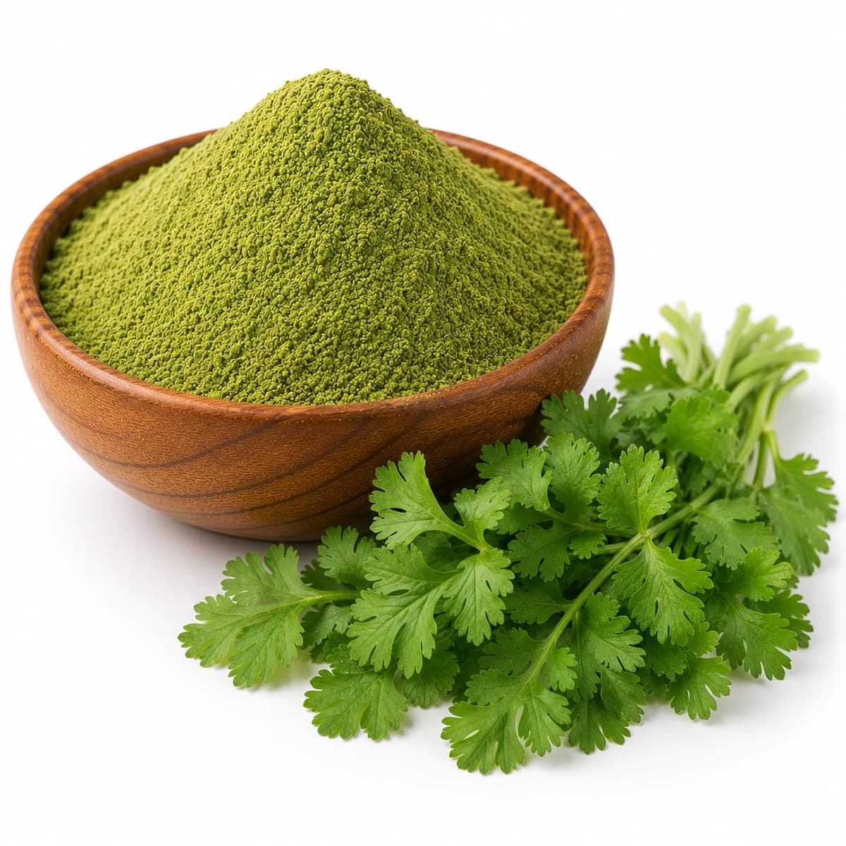 Premium Coriander Leaves Powder | Food Grade | Export Quality