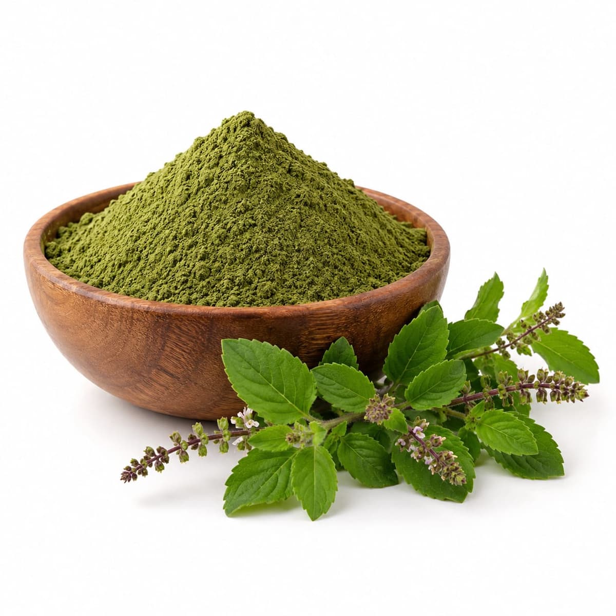Premium Tulsi Powder | Food Grade | Export Quality